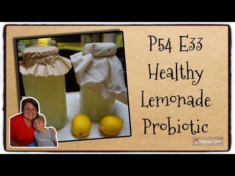 P54 E33 Healthy Lemonade | Whey Probiotic Lemonade | Cooking Show Outtakes with Little Helper